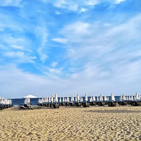 Balkan Breeze 7 *